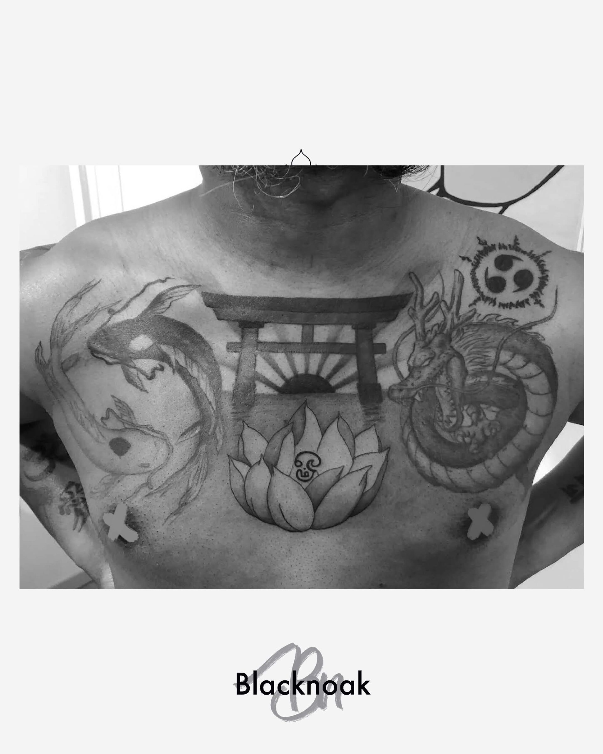 Shenron X Lotus X koi
