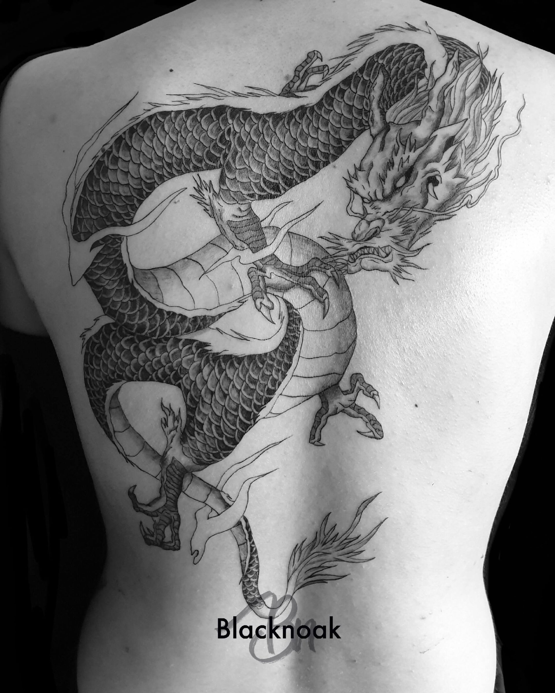 Dragon 