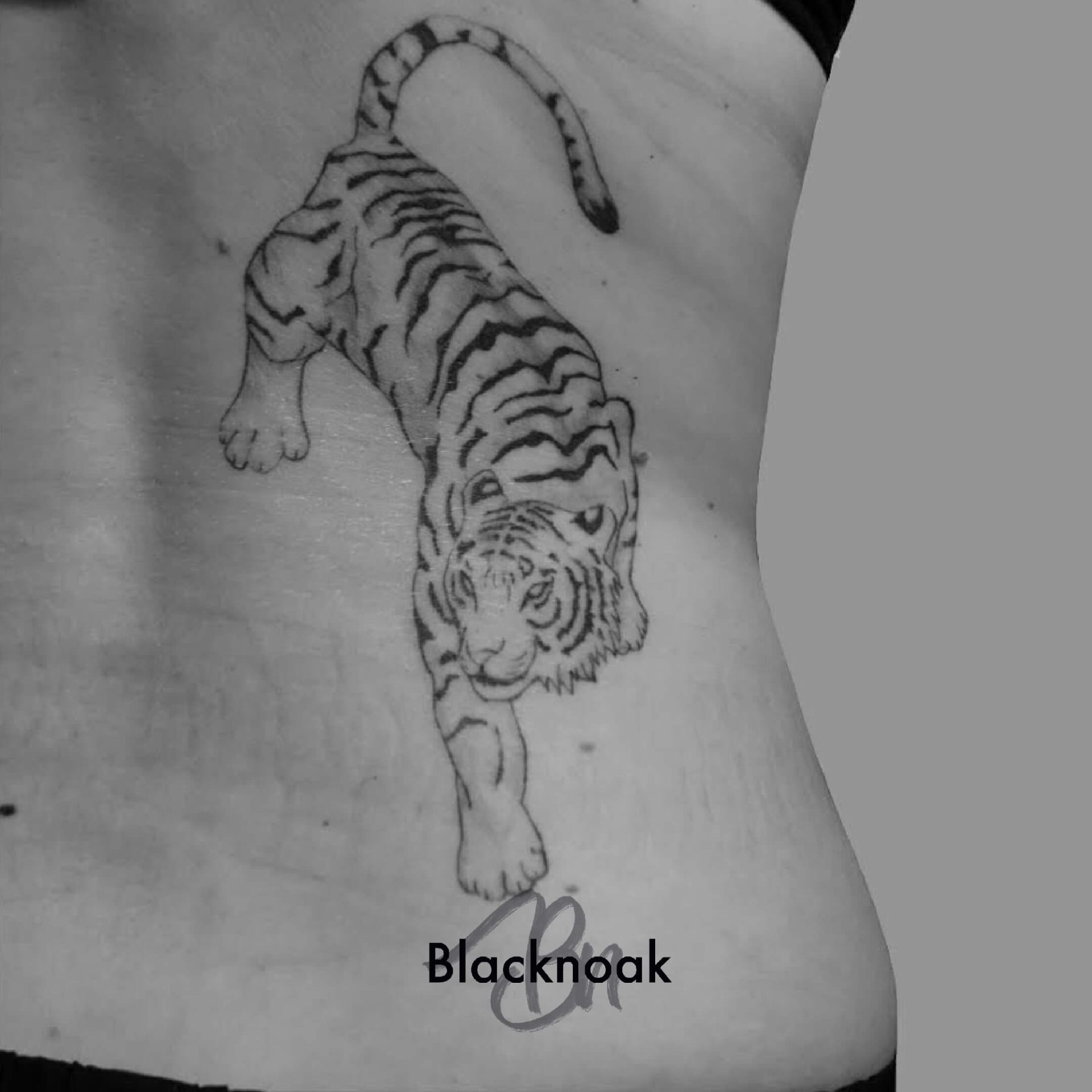Tiger mama