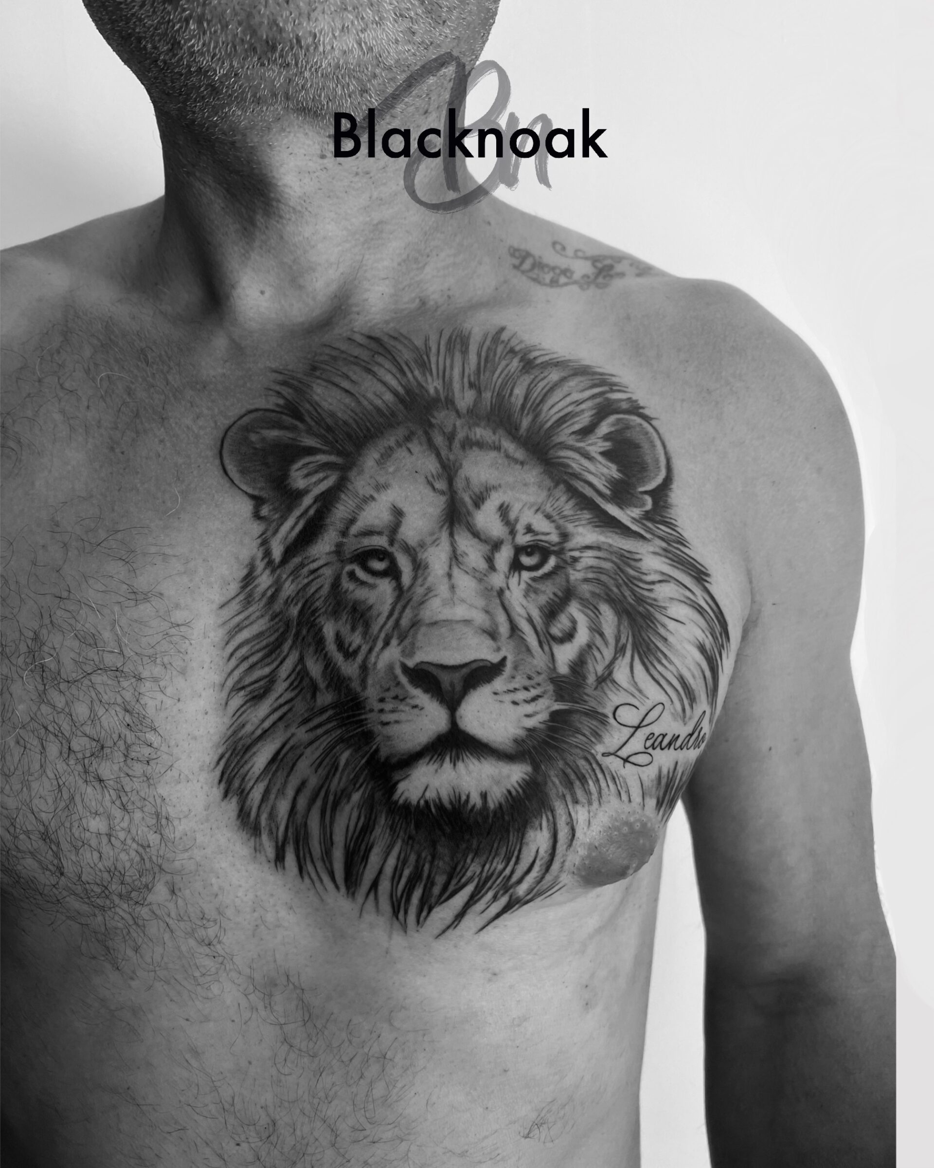 tatouage lion